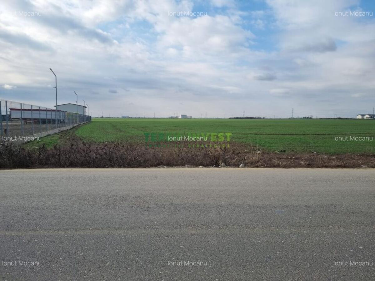 TEREN INDUSTRIAL 8000 MP  LA DN4, ACCES DIRECT! - 4