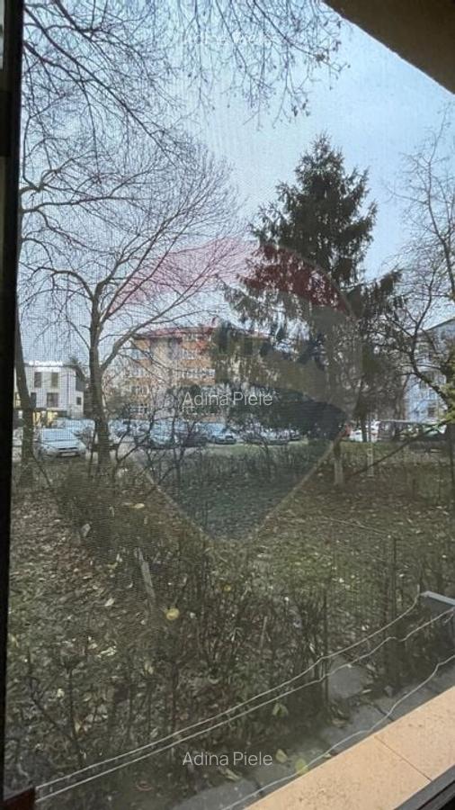 Apartament cu 1 camera de inchiriat in zona Brazda lui Novac - 9