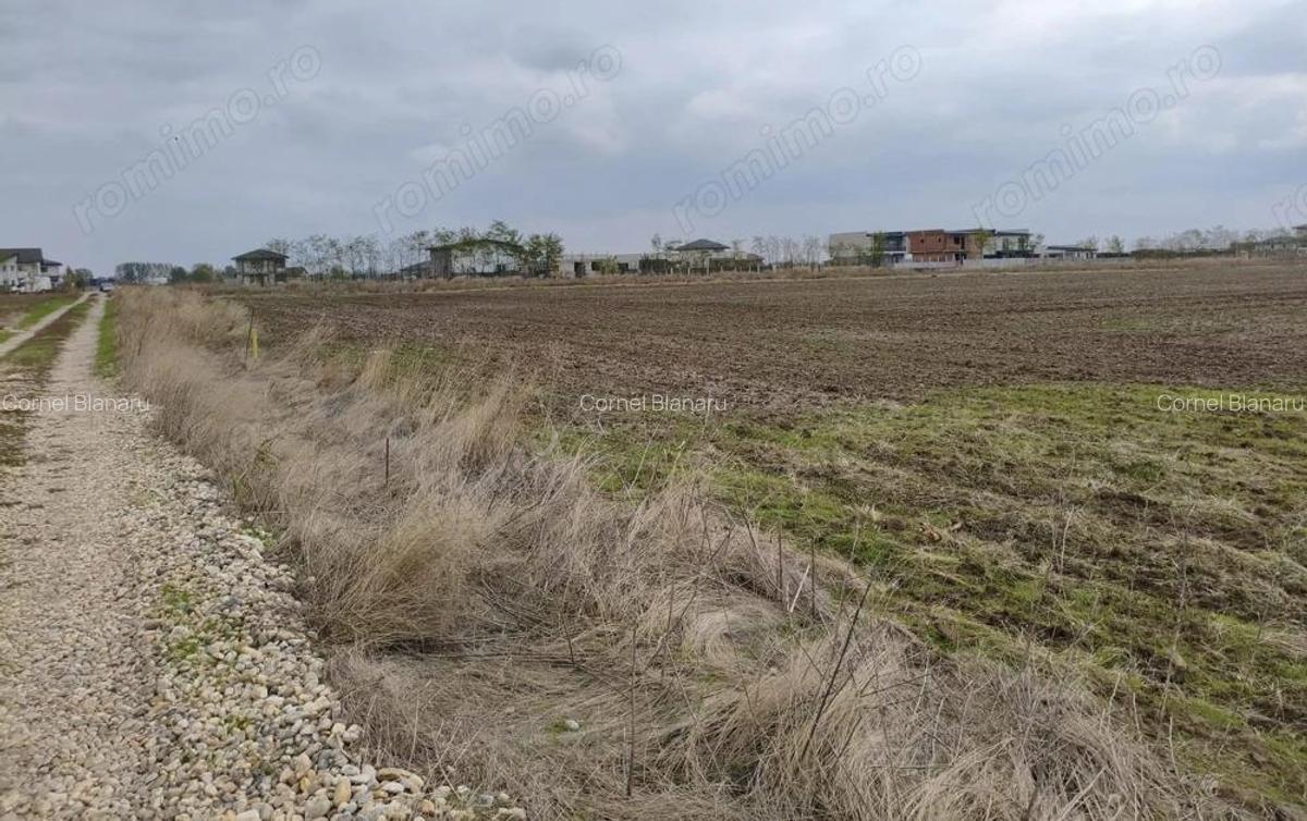 Teren 539 mp, utilitati la lot, rate fara dobanda - Vidra - 6
