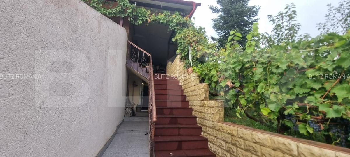 Duplex, 360 mp, curte libera -zona Plopii Fara Sot - 14
