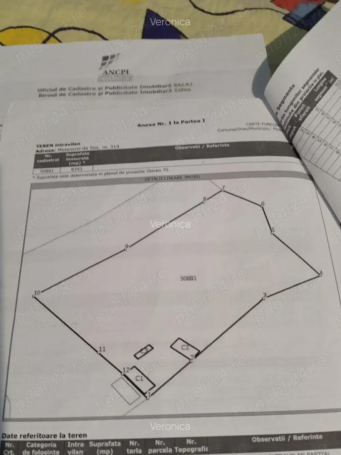 De vanzare casa la tara - 2