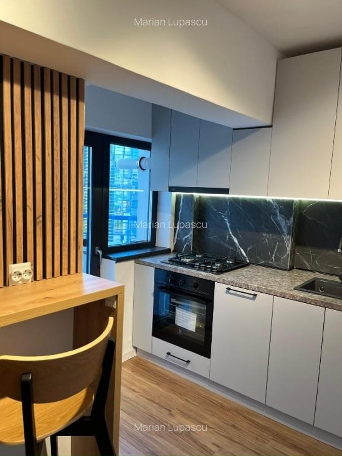 Prima închiriere, proprietar! Apartament superb 2 camere pe Bulevardul Unirii - 4
