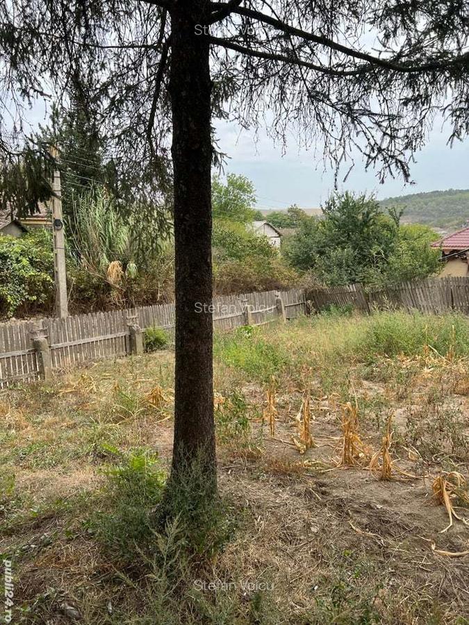 Casa de anzare con Ion corvin - 6 Casa de anzare con Ion corvin - 6