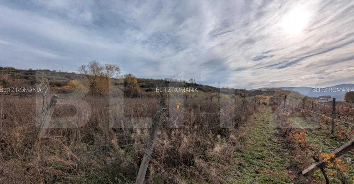 Teren pretabil pentru cabana, cu view - 1