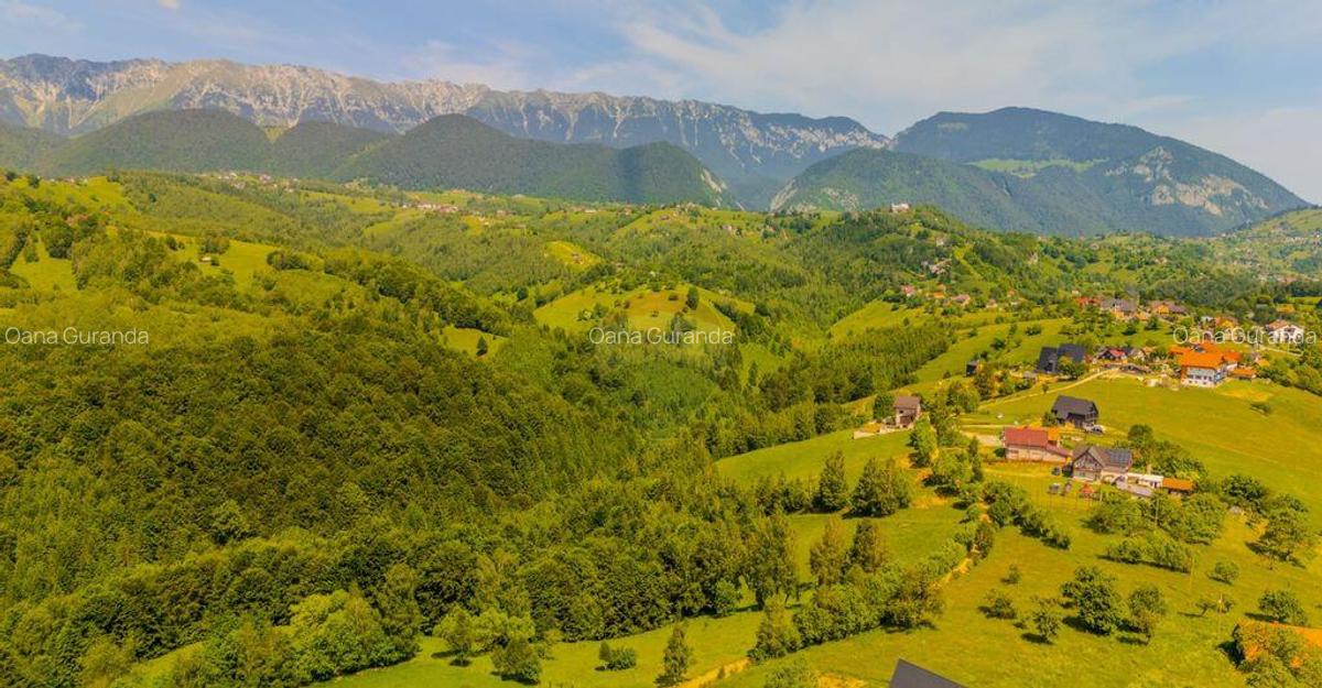 Teren extravilan 2,000mp Pestera / cabana vacanta/natura - 15