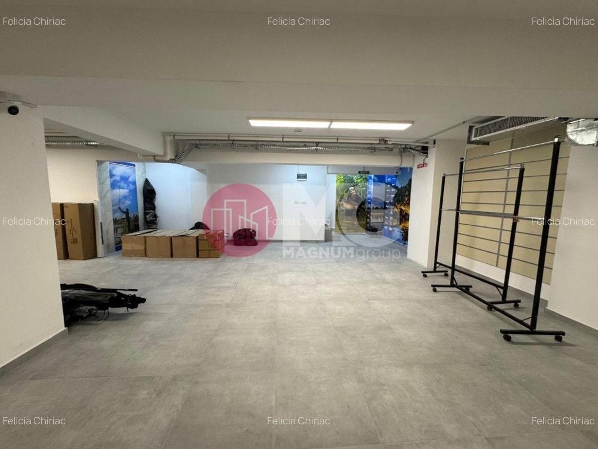 Spațiu comercial, 458 mp în Vitan - 2