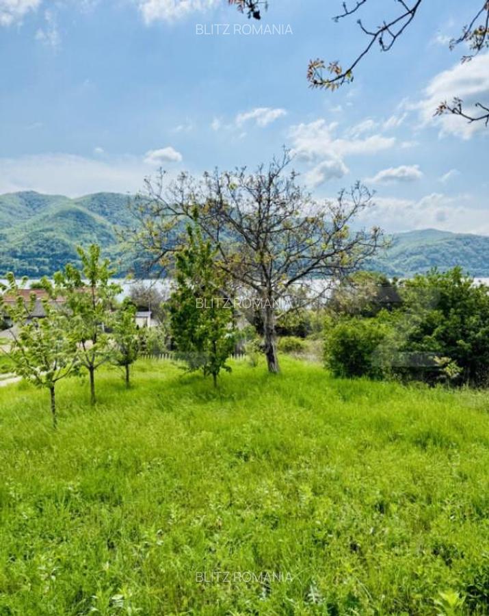 Cabana din lemn, 37 mp, Liubcova - 11