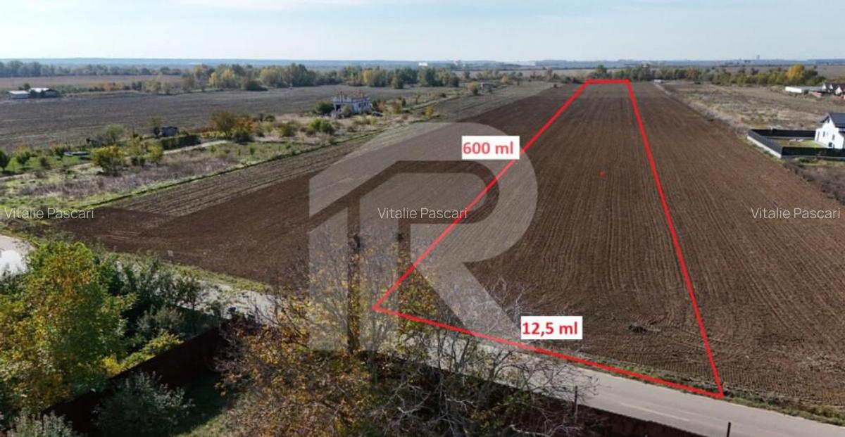 JOITA LOT 7344 MP - 5