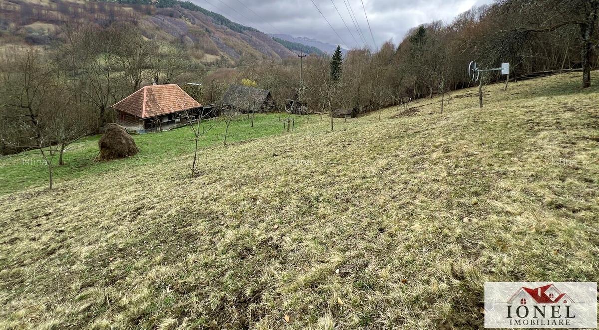 Casa de vanzare in Muntii Apuseni cu 17.596 mp teren - 2