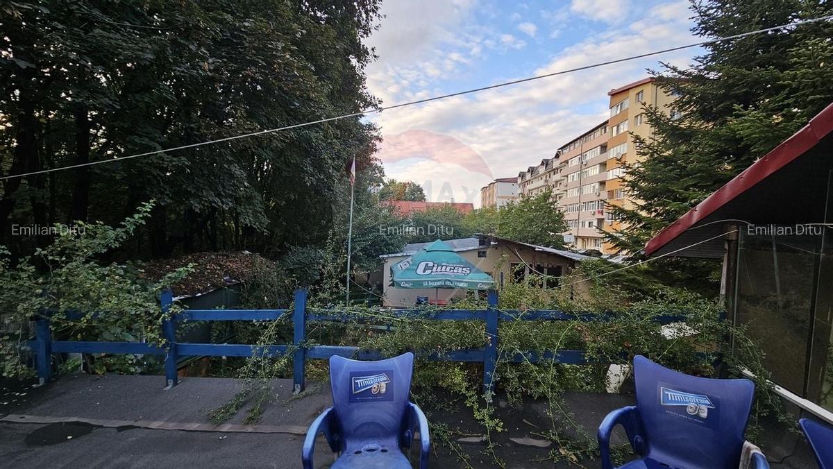 Casă individuală cu 4 camere în George Enescu - 9