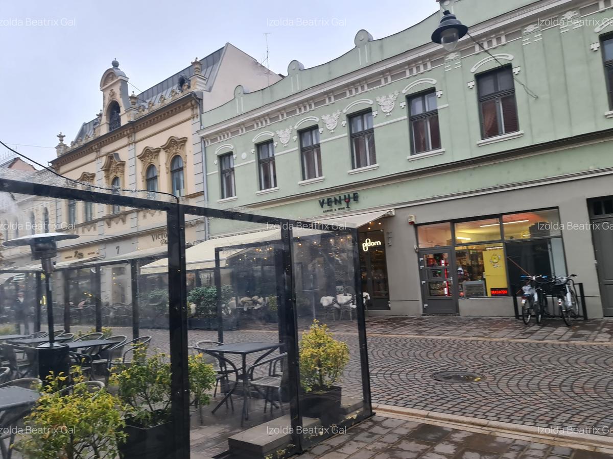 Garsonieră cochetă ultracentrală-Vasile Alecsandri - 9