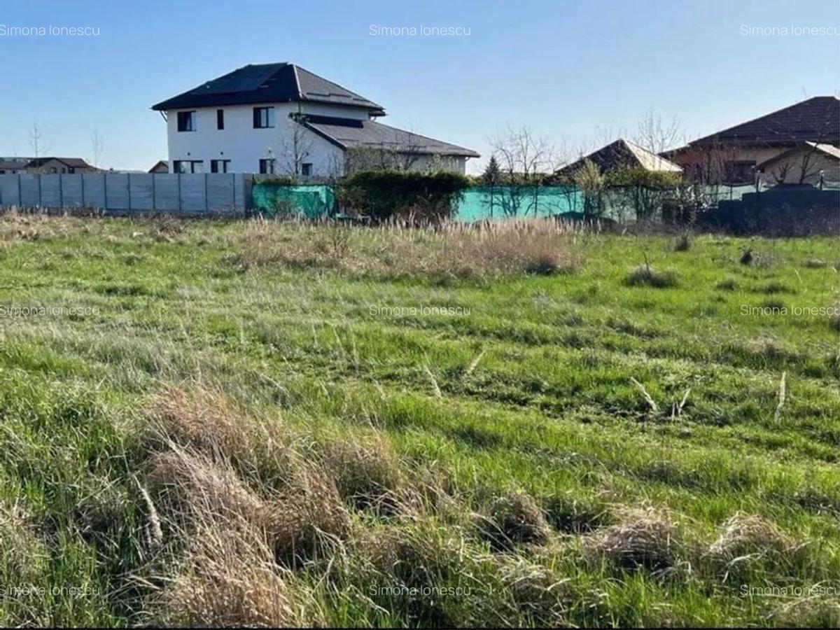 De vânzare: teren intravilan 775 mp (Lot 34) în Domnești - Ilfov - 2