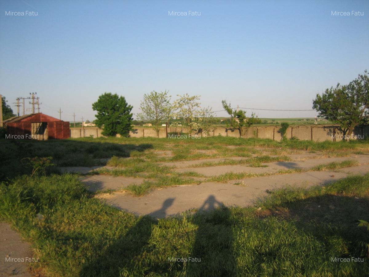 Teren Construcții intravilan de 14613 mp, în Poarta Albă - 5