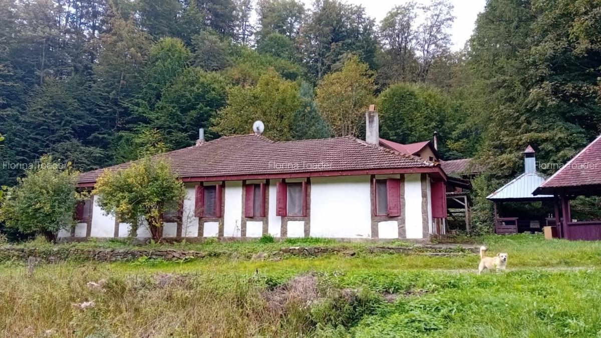 Casa de vacanta Crivaia, langa Valiug -locatie idilica, ideala pentru timp liber - 1