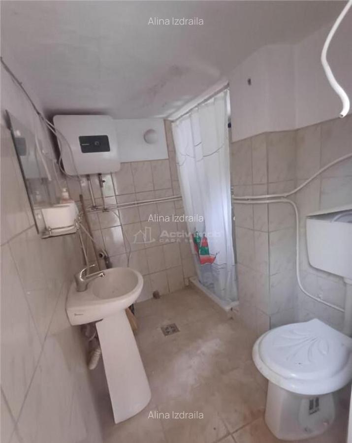 Casa de in Saliste aproape de Transalpina - 4