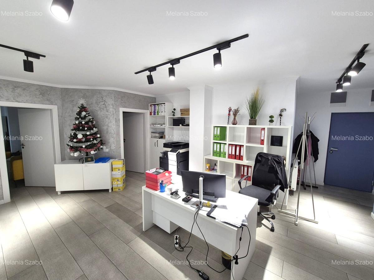 Spatiu de birou/apartament exclusivist cu gradina proprie, Arad Plaza - 2