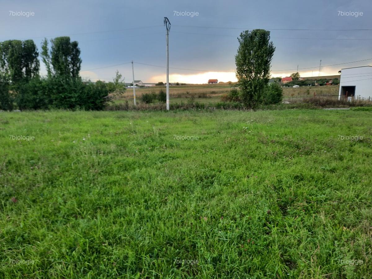 Teren, 5800 mp, intravilan in Comuna Tureni, Jud Cluj - 5