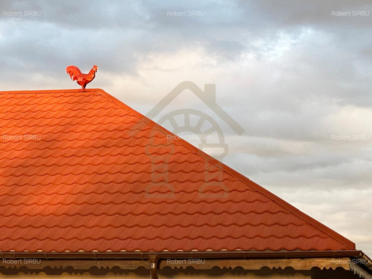 Conacul CERUL VLASIEI cu Grădină 1077 m2 langa padure - 10