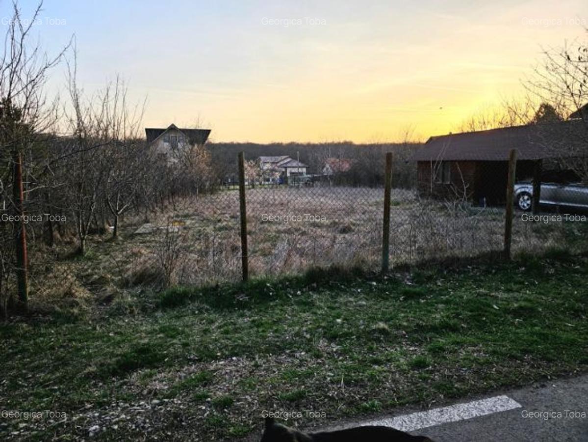 Teren intravilan 1056 mp cu cabană 44 mp, Pasărea – Brănești (Ilfov) - 1