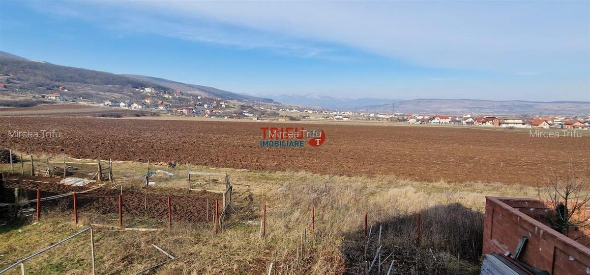 Casa de vanzare S+P+E Alba Micesti 670mp teren - 14
