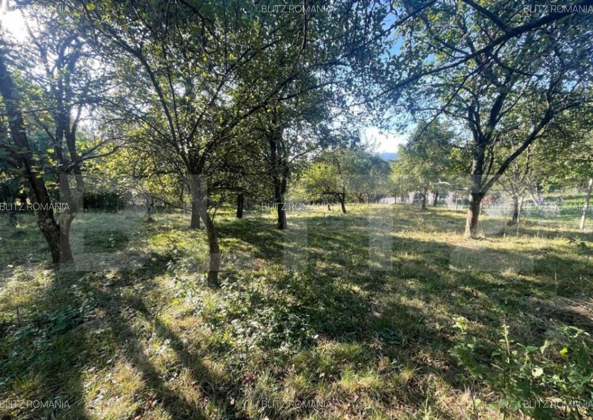 Casa de vanzare, 70 mp , teren de 3000 mp , Cacova Ierii - 10