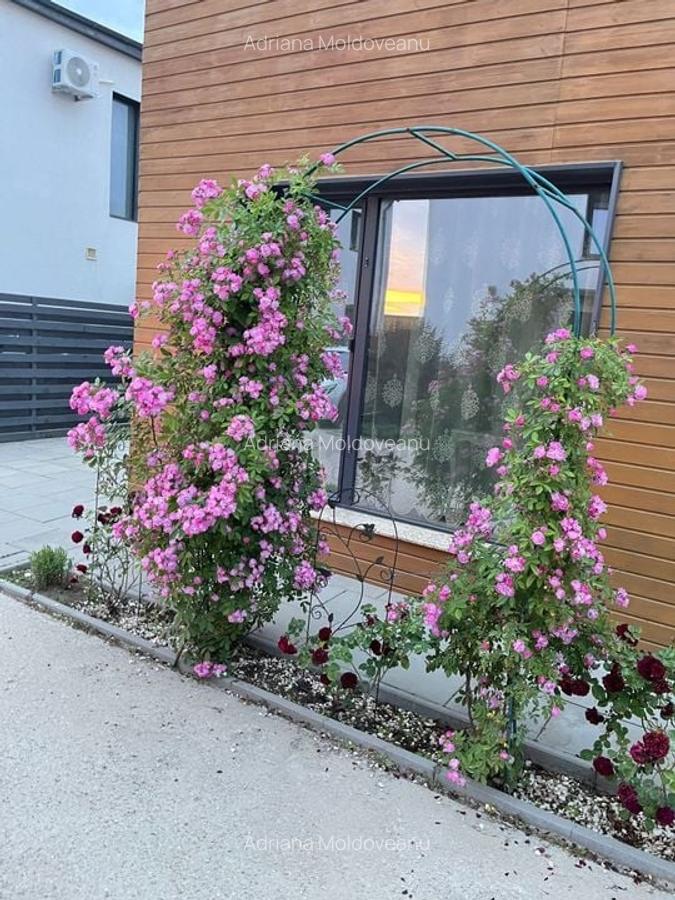 Vilă Individuală de Lux - 3