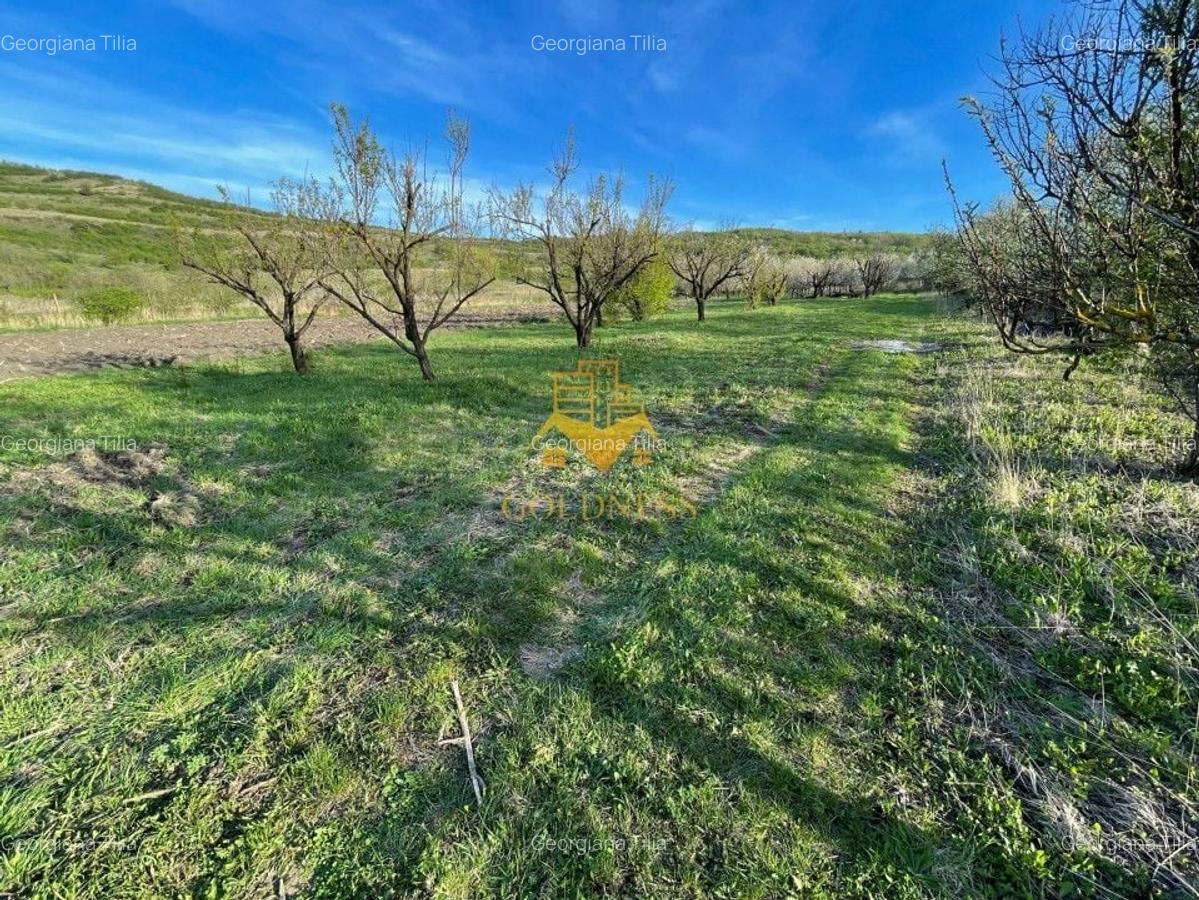 Teren agricol intravilan de 5500 mp, în Sopor - 4