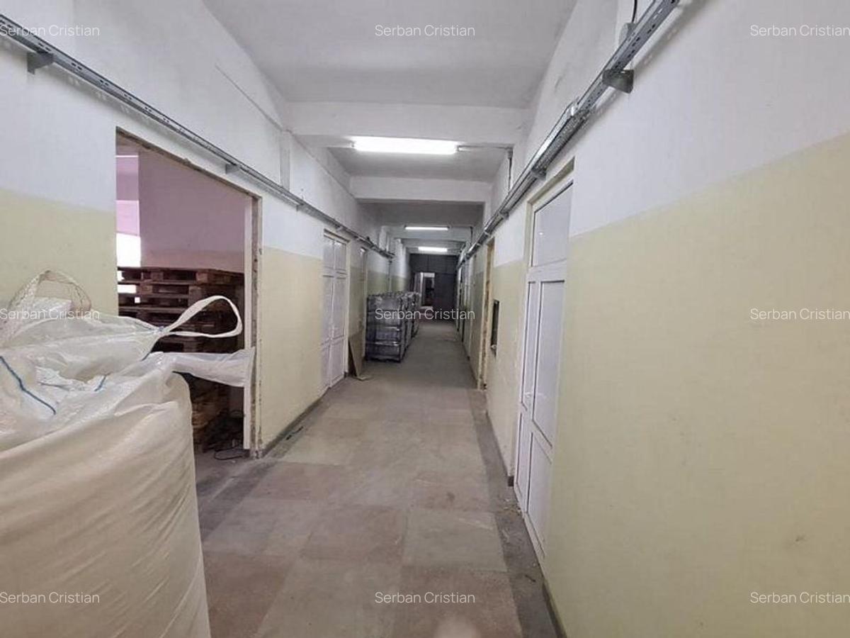 Drumul Intre Tarlale spatiu productie 1350 mp - 14