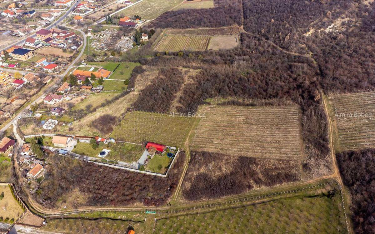 Teren intravilan in ?iria pe deal - 5 Teren intravilan in ?iria pe deal - 5