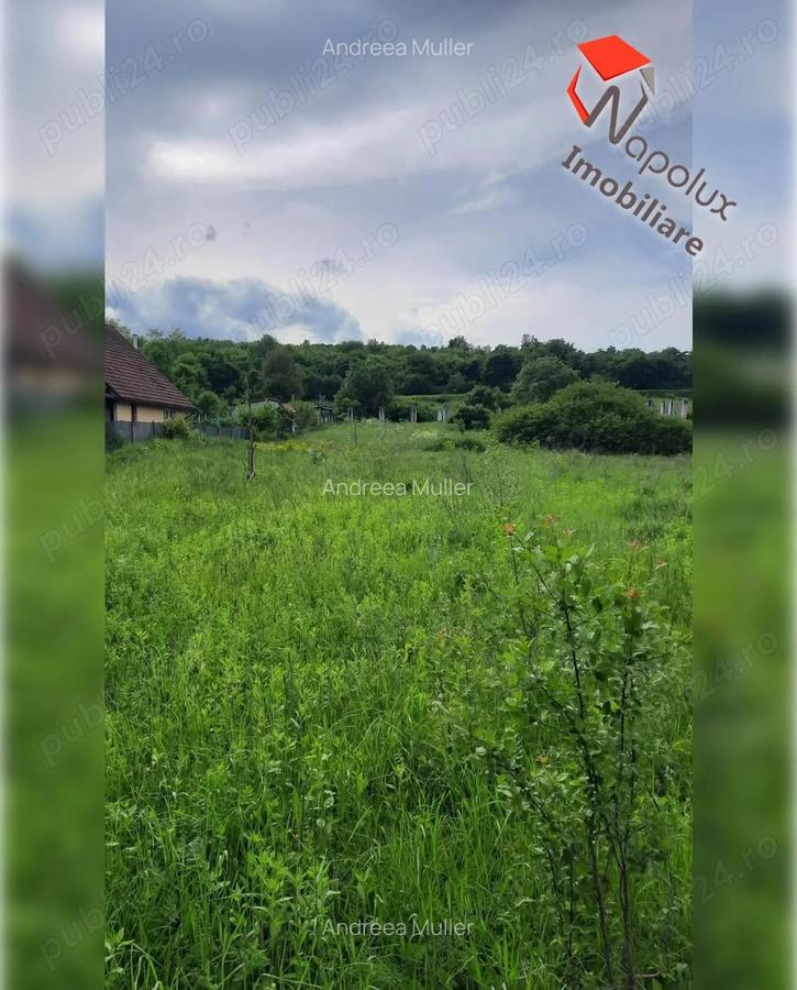 Teren pentru constructii in comuna Ciurila - 2