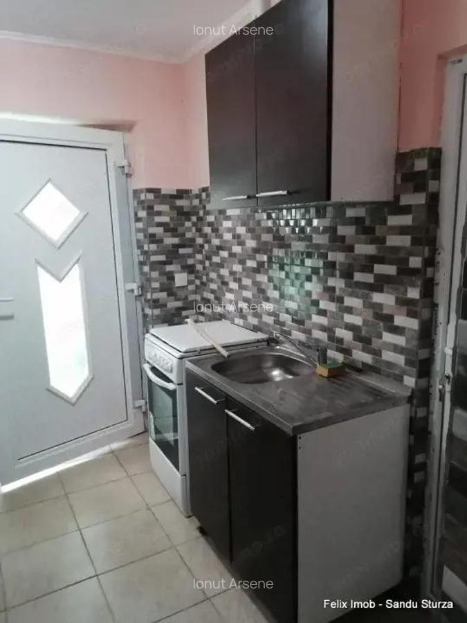 Lipova, gospodarie bine intretinuta - 8