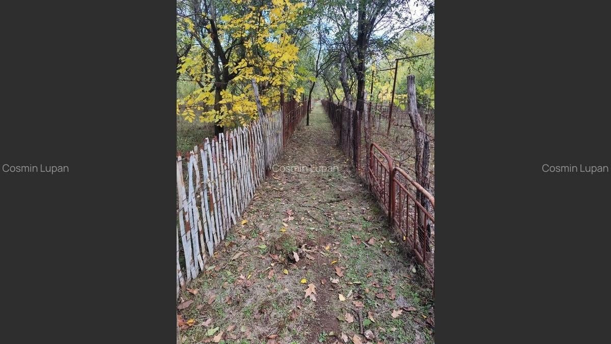 Casa Baicoi 120mp. Valea Stelii - 11