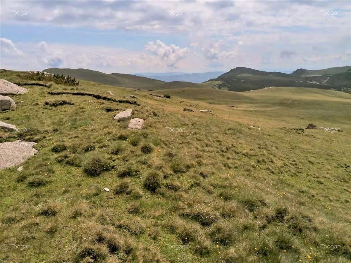 Terenuri in Bucegi, Zona Alpina Inalta, pentru dezvoltare cabane, vile turistice - 8
