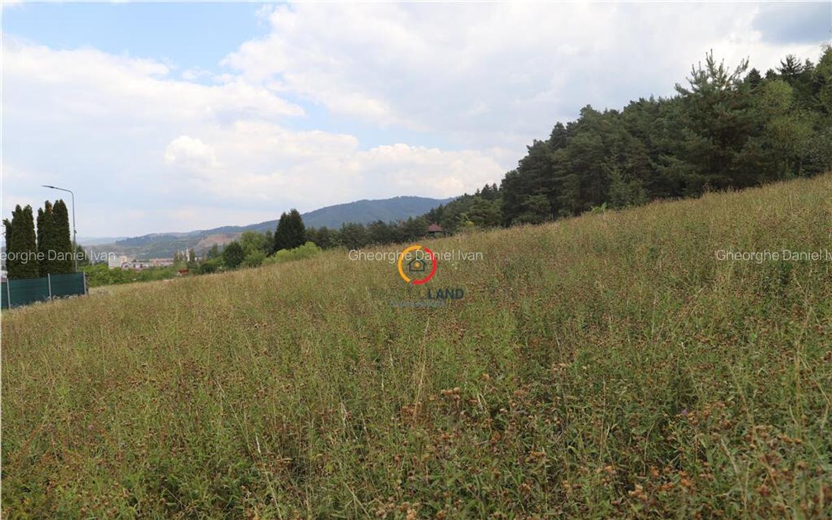 Teren intravilan cu PUZ si PUD 2 loturi - 1