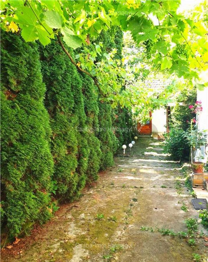Casa cu 2 camere si teren mare in Ginta. - 3