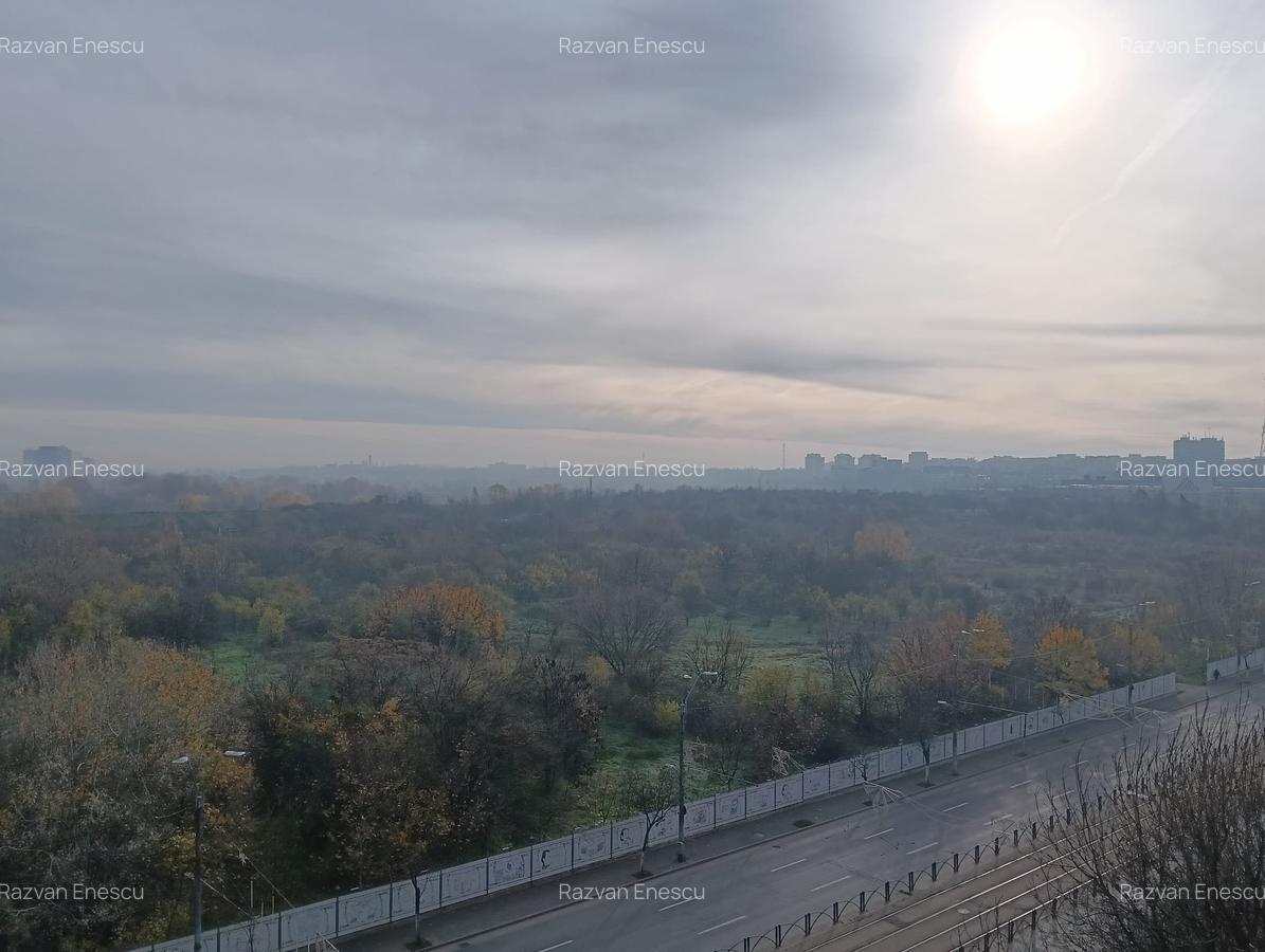 Primul chirias, Vedere superba asupra Parcului Natural Vacaresti - 1