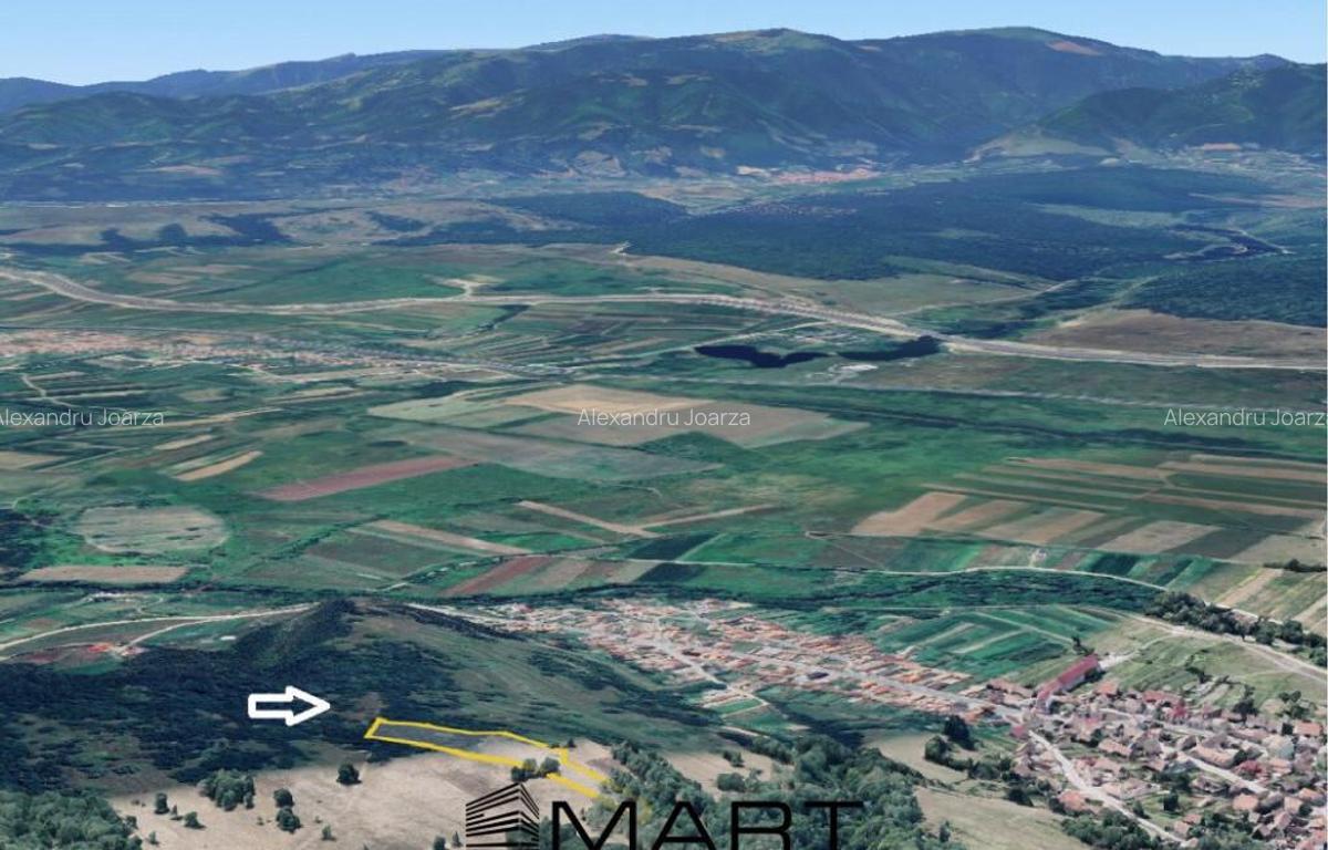 Teren extravilan 5500 mp, la padure zona Selimbar (Mohu) - 1 Teren extravilan 5500 mp, la padure zona Selimbar (Mohu) - 1