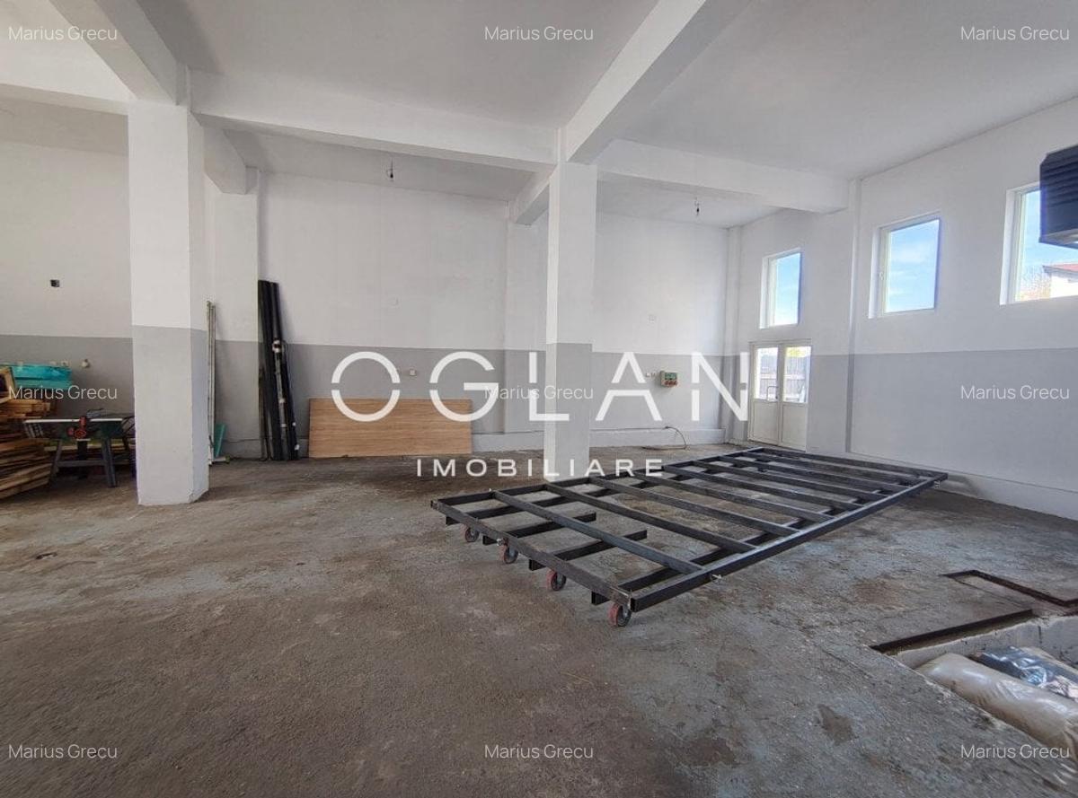 Spatiu comercial 450 mp (P+E)- zona Terezian - 6