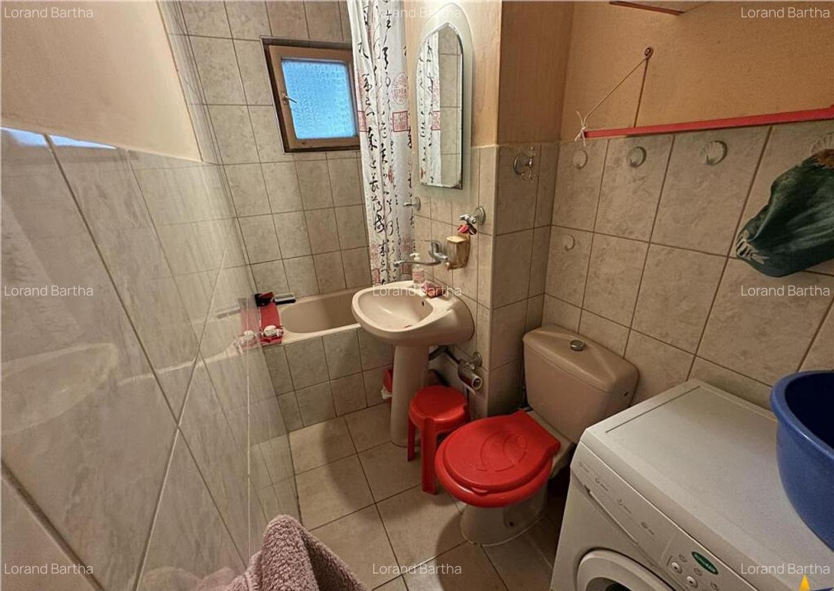 FILM3D!Apartament 3 camere,etaj2,cu balcon,malul Paraului Po - 9