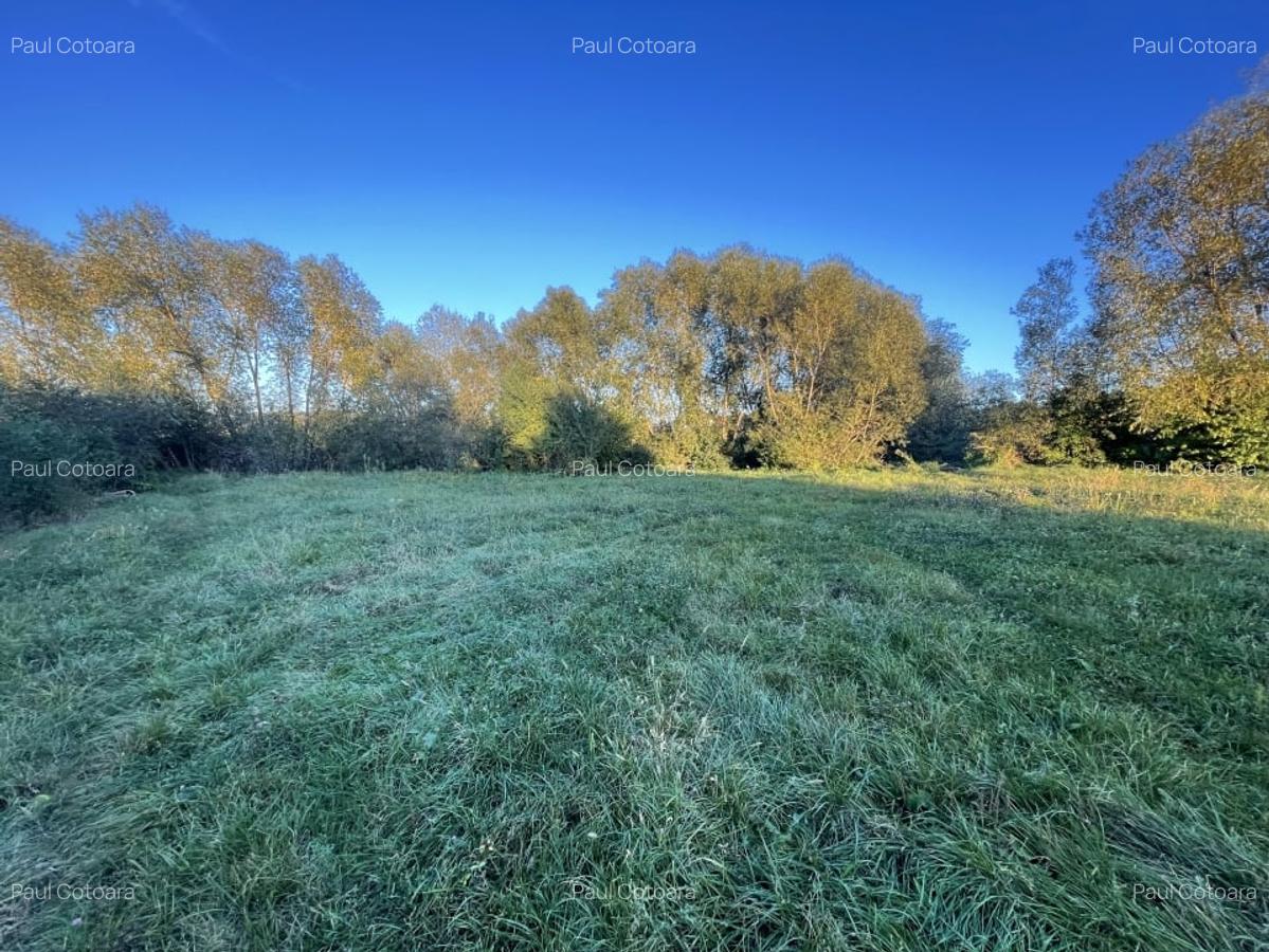 Teren Intravilan, 946 mp, Orasul Cisnadie - 3