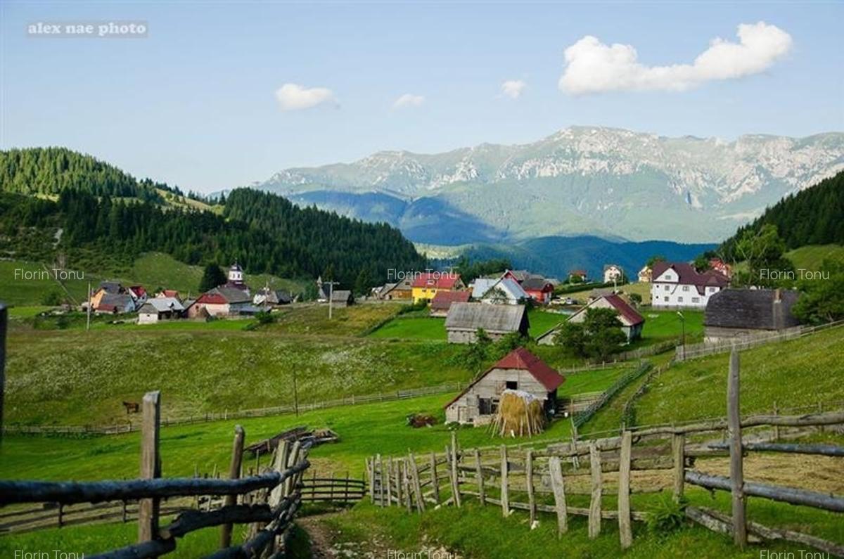 Locatie cu patru anotimpuri intr- o zi, incadrata de 2.350 teren, Bran - Fundata - 5