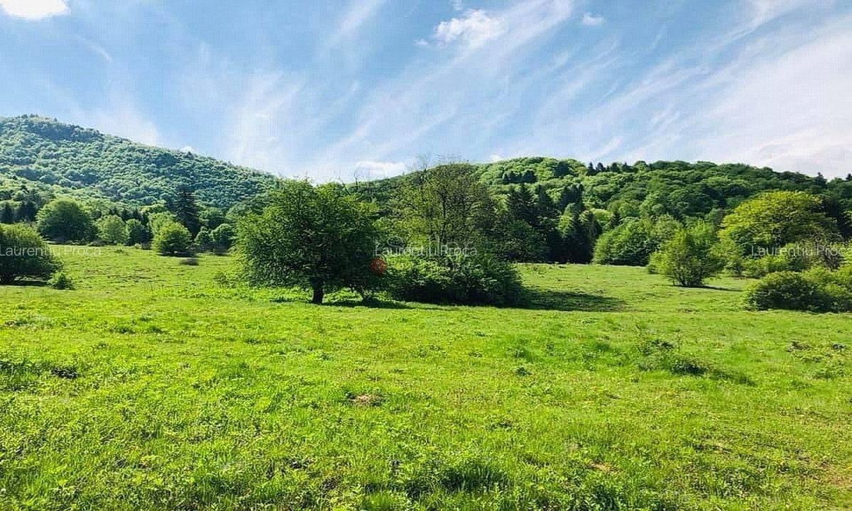 TEREN POTENTIAL TURISTIC - Rasnov - Cheisoara - 2