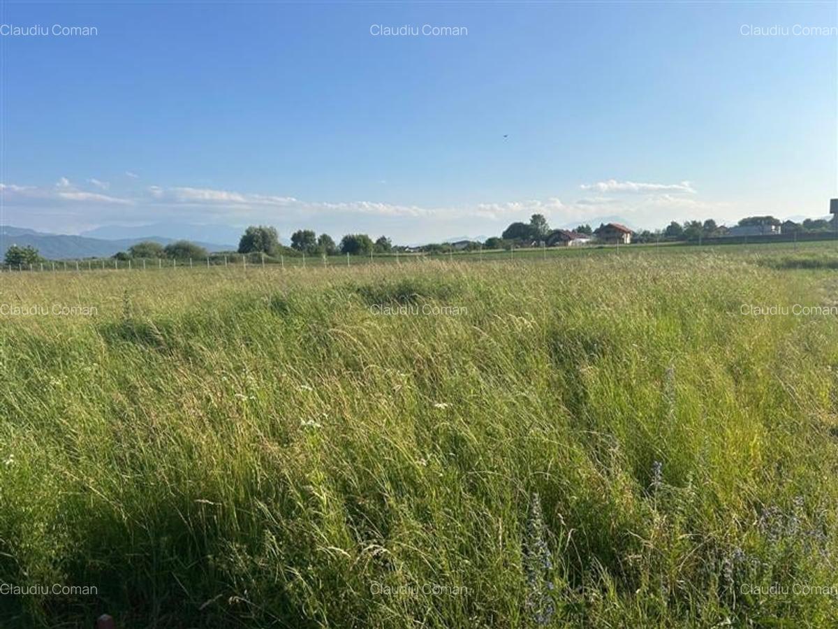 Teren 437 mp, stupini, intravilan, PUZ , CU. - 3
