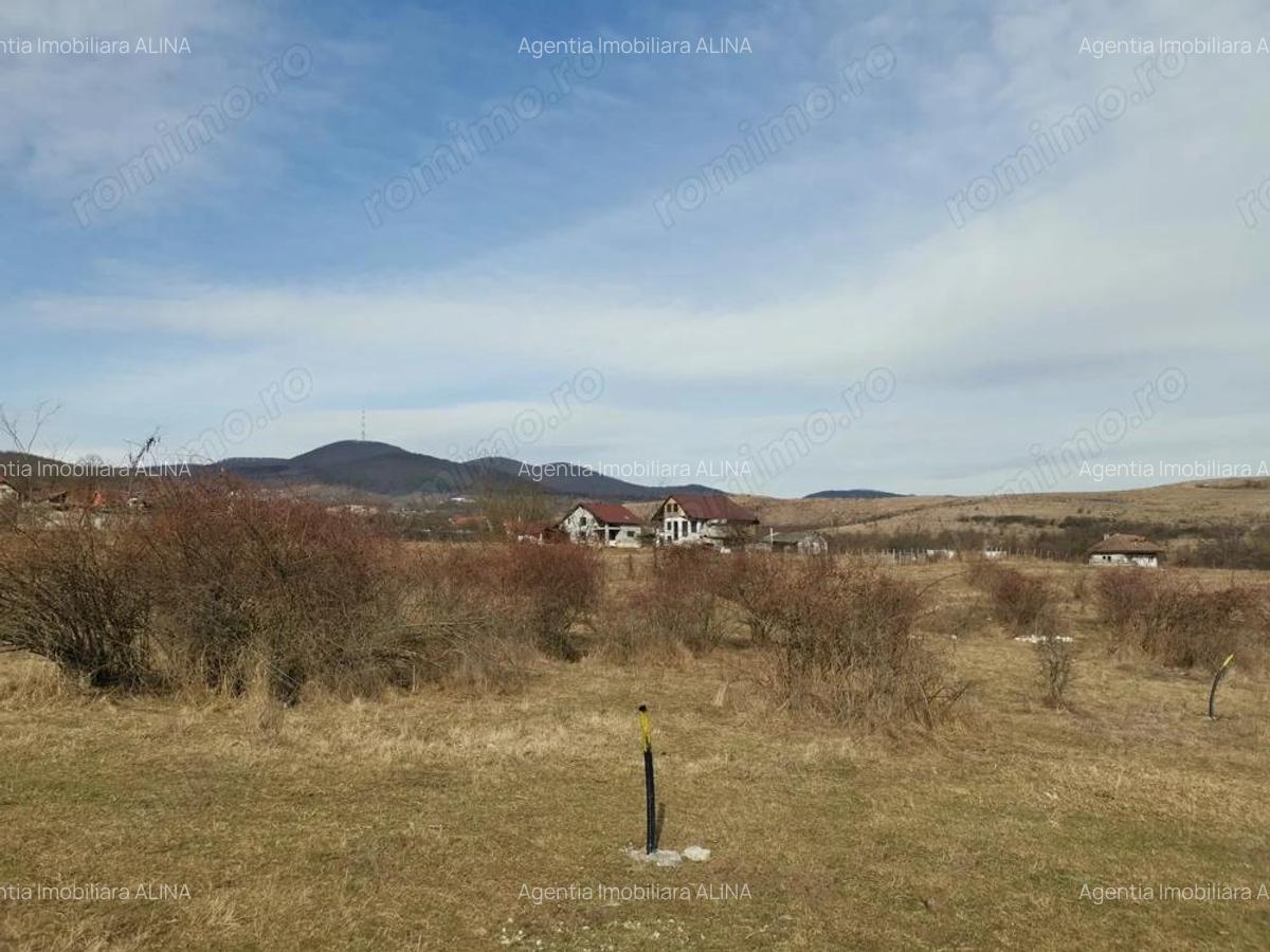 2 parcele de teren extravilan, alaturate, situate in Deva, zona Micro, spre Padurea Bejan. - 2