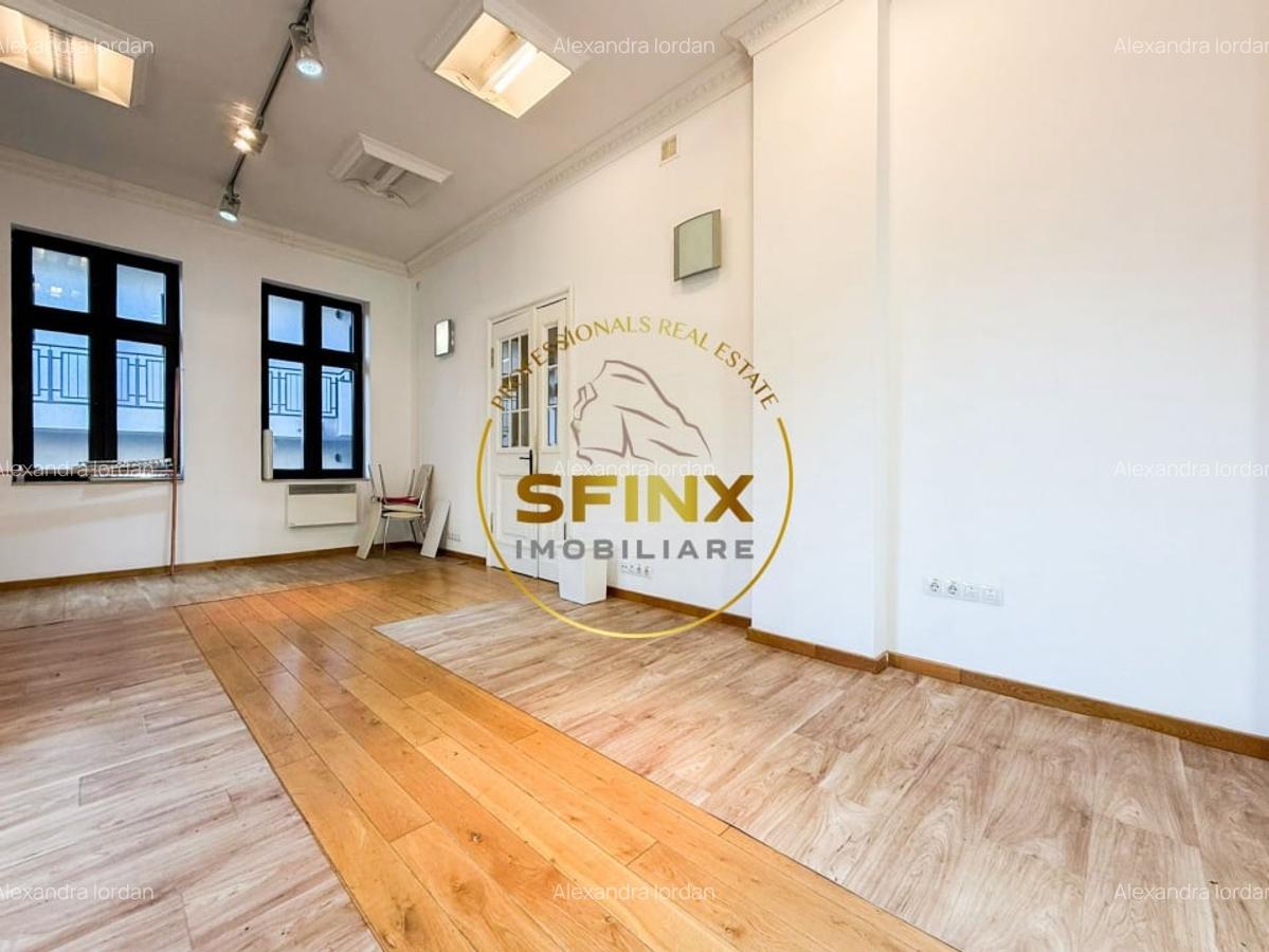 Vila eclectica individuala, curte proprie zona Armeneasca - 13