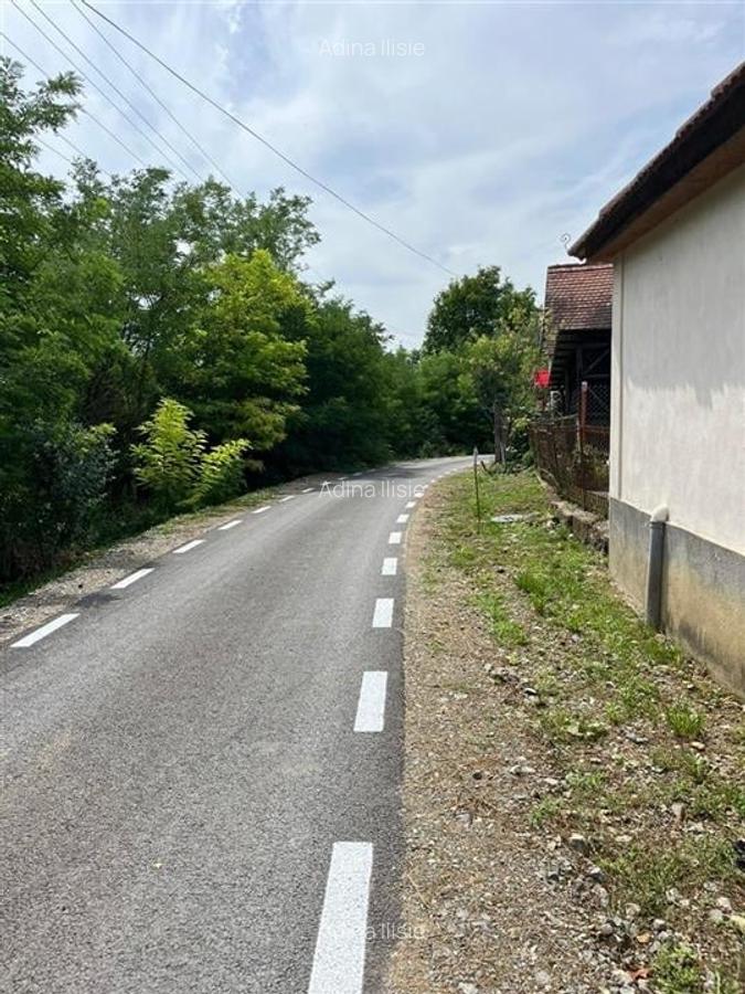 RECO Casa batraneasca cu teren generos la Lupoaia -Holod - 16