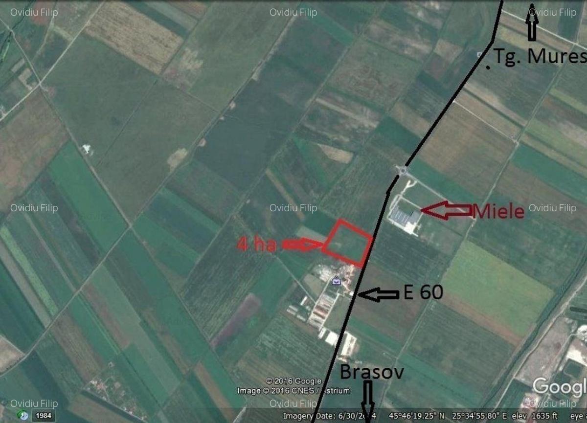 Teren Industrial, Logistica - 1