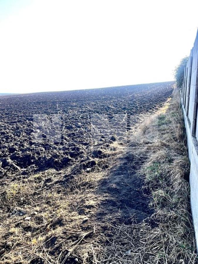 Teren I Suceava I Moara Nica I 2500 Mp I 54.900 Euro - 6