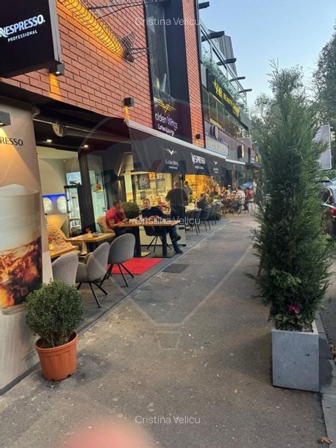 SPATIU COMERCIAL STRADAL - PARC HERASTRAU - 2