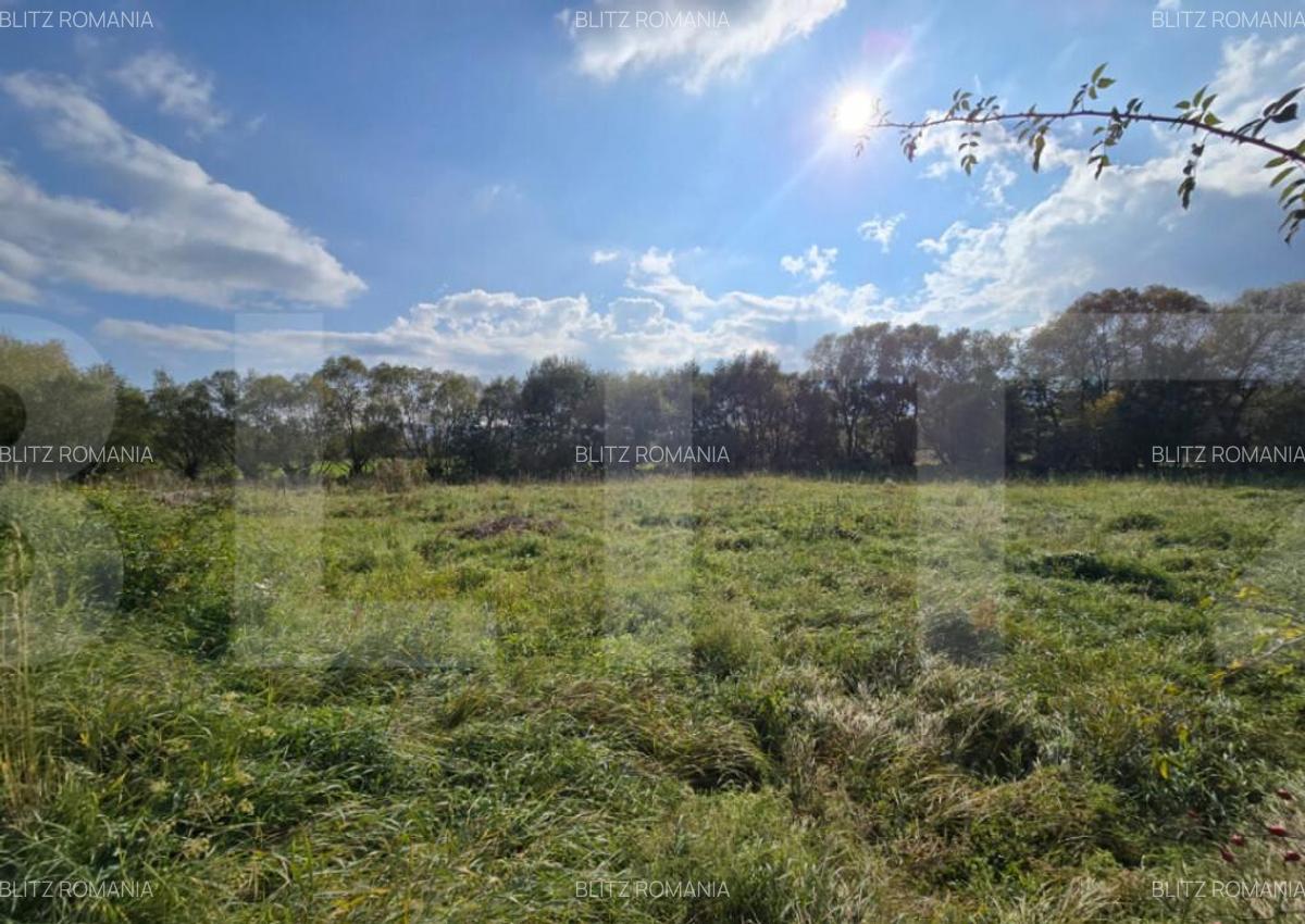 Teren intravilan 1200mp potrivit pentru o casuta de vacanta - 6